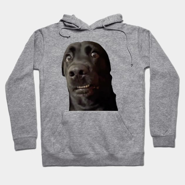 Confused Dogs Shirt, Awkward Dogs, Awkward Staring, Two Dogs Staring Matching Hoodie by CamavIngora